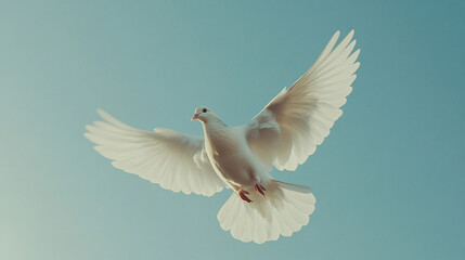 Obraz premium Dove soars, white against sky, freedom and peace embodied in spirit flight, holy symbol ascends to heaven, bird of nature set against blue backdrop.