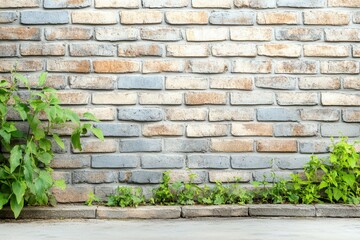Rustic brick wall with green plant growth in urban setting.