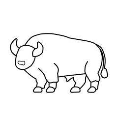Buffalo illustration
