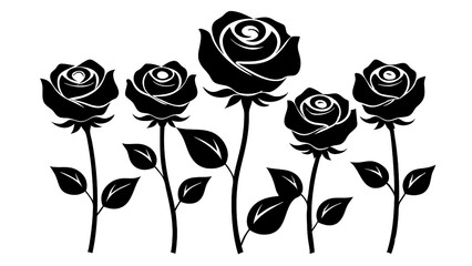 Beautiful Premium Rose Combo Silhouette Illustration with Solid White Background for Artistic Floral Decor and Print Designs