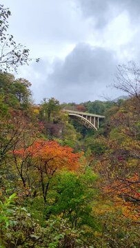 Overlooking the Ofukazawa Bridge. Japan's famous scenic spot "Ofukazawa Bridge" in Naruko Gorge.