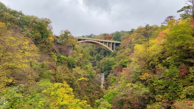 Overlooking the Ofukazawa Bridge. Japan's famous scenic spot "Ofukazawa Bridge" in Naruko Gorge.