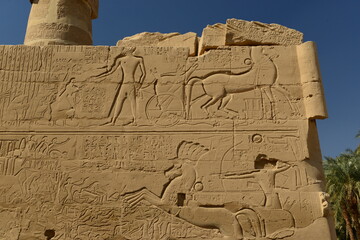 Temple of Karnak, Luxor City, Egypt, Africa. The wall carvings of Pharoahs and hieroglyphics in the Hypostyle hall of the temple.