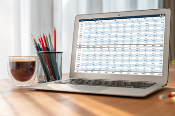 Accounting software on computer screen showing financial statement spreadsheets and account balance of corporate business offer accountant a fine calculation accounting snugly