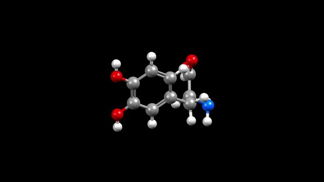 Structure of l-DOPA, also known as levodopa and l-3,4-dihydroxyphenylalanine, a medication for Parkinson's disease. Animated 3D ball-and-stick and space-filled models, black background