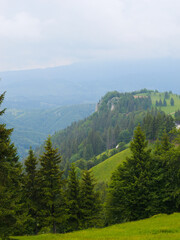 Fototapeta premium Mountain landscape, fir forest and rocks in the mountains. Panorama of beautiful countryside of Romania.