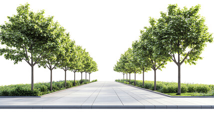 A serene tree-lined pathway with lush greenery and well-maintained walkways.