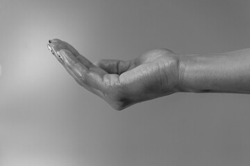 Artistic photo of a woman's hand, hands and fingers, empty palm open upwards. Close-up of an elegant palm up with space for your product.