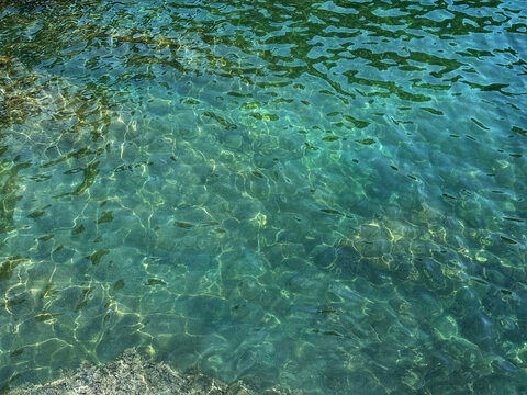 Emerald green sea water clear surface. 