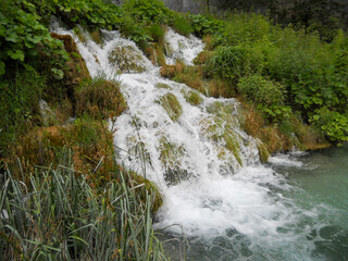 Flowing waterfall surrounded by lush greenery