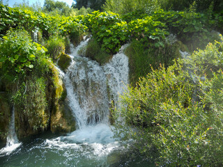 Water cascades through lush green landscape