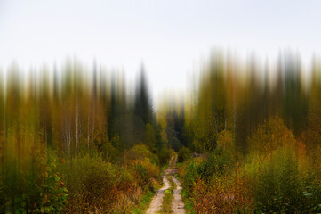 autumn rural landscape with road and colorful trees