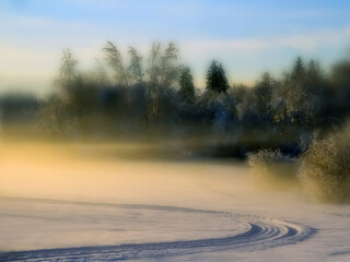 - Evening mood in fog