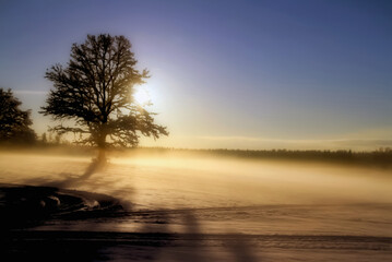 WINTER LANDSCAPE WITH FOG