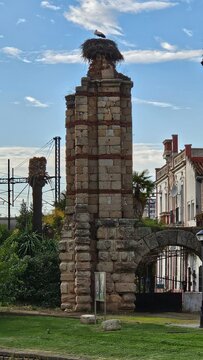 Merida stork roman ruins