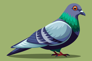 Fototapeta premium Rock Pigeon bird vector art illustration.