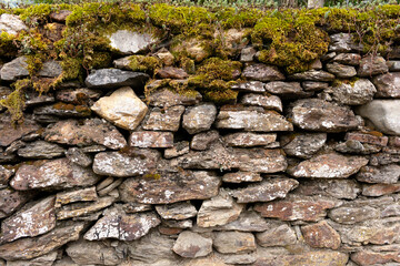 green musk on stone fence