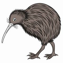 a-black-kiwi-bird-is-walking-alone vector illustration