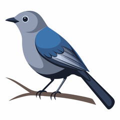 Obraz premium a-catbird-set-alone-on-the-branch vector illustration