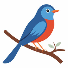 nightingale bird