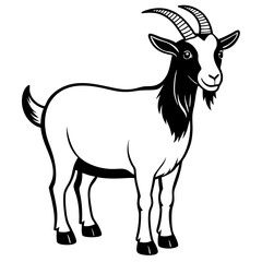 Obraz premium goat on a white background
