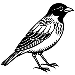 Obraz premium illustration of a bird