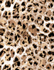 Leopard skin pattern, animal fur seamless design