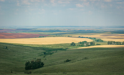 Fototapeta premium Summer fields and hills