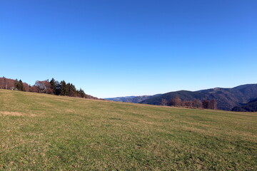 Fototapeta premium Herbstlandschaft auf dem Schauinsland bei Freiburg