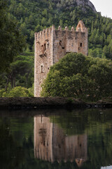 an ancient castle on the background of a forest