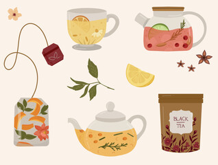 Set of teapots, and cups with fruits, lemon, and herbal tea. Cartoon hot drinks