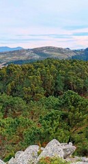 Masa forestal en las monta&ntilde;as de Os Ancares, Galicia