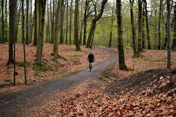 Rowerem przez las © Hanna