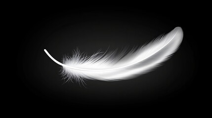 White feather on dark reflective background, selective focus.
