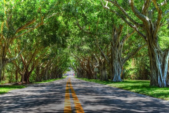 Bridge Road Jupiter Island Florida