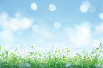 Obraz premium World environment day concept with green grass and blue sky bokeh abstract background