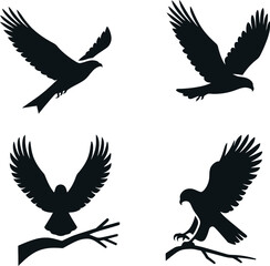 Obraz premium Set of Flying Hawk Vectors - Dynamic Bird of Prey Illustrations for Wildlife and Freedom Themes