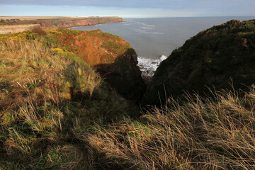 Cliffs between Arbroath and Auchmithie - Angus - Scotland - UK