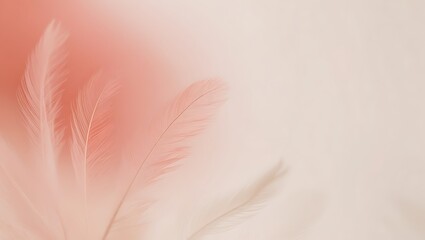 Obraz premium Delicate Peach Colored Feathers Softly Blurred Background