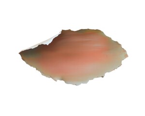 Torn paper with abstract earth tones on white background