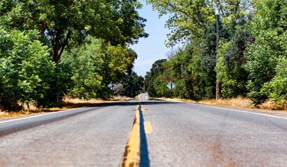 Road in the Countryside