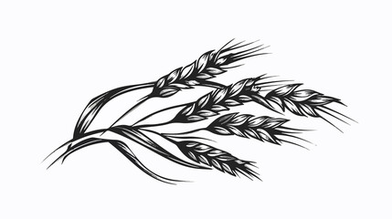 Farm Field Barley Wheat Harvest Spike Cereals Image