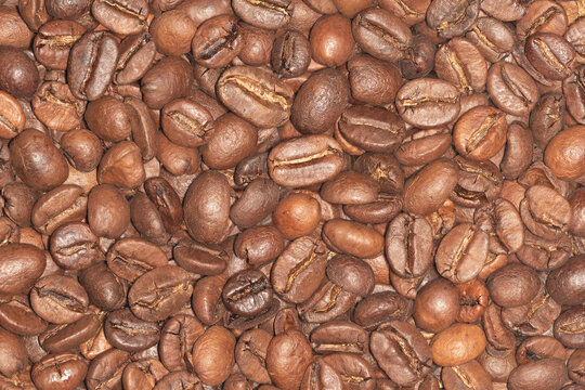 Background of roasted coffee bean. Concept of color of year 2025. Modern trend. Mocha Mousse color.