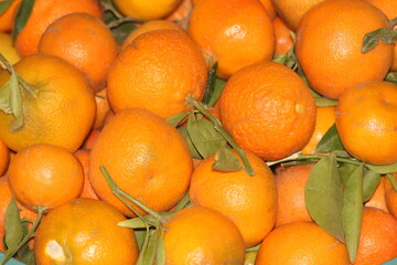 Fresh Small Oranges Close Up