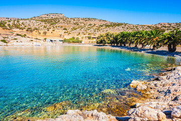 Palm trees on idyllic Panormos beach, Naxos island, Cyclades, Greece