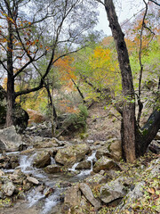 mountain river in autumn