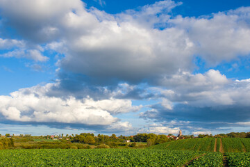 Pola pod Jezioranami 2024_3