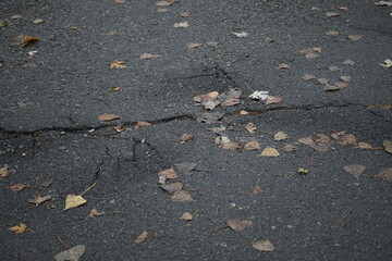 Obraz premium Cracks on grey asphalt close-up, old cracked asphalt close-up, old road surface bitumen 