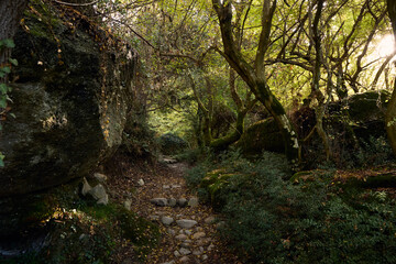 Obraz premium Meteora hiking trail in the forest, Greece