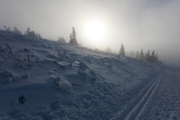 Praded, Jeseniky mountains, Czech Republic, Czechia. Snowy landscape. Nature in the winter and wintertime. Murky and dim weather with fog, mist and foggy sun. Footprint, footmark and track.